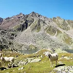 Nyaraló White Diamond By Interhome *